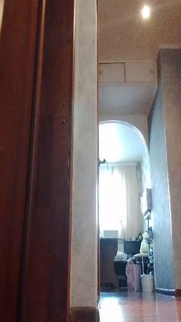 Алиса ломает дверь