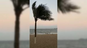 Берег полуострова Индокитай.