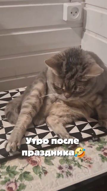 После праздника 😁🤣