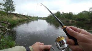 ЖЕРЕХИ БЕЗ УМА ОТ РАКОВ