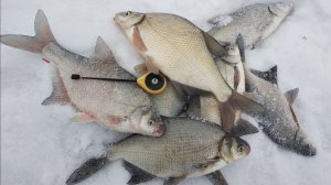 ПОПАЛИ НА КЛЁВ КРУПНОГО ЛЕЩА . Ловля леща на мормышку в ТОРОСАХ на реке.