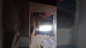 Испытания для хомяка