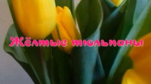 Жёлтые тюльпаны. Стихи - Е.Васюнина, монтаж и генерация звука в ИИ - Е.Доставалов