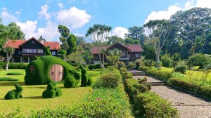 "Домик хоббитов" из искуственной топиарной травы