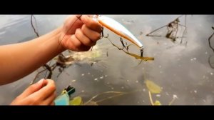 собираю пластиковую рыбку ЧАСТЬ 5