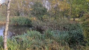 Ботанический сад им Цицина.м Владыкино.