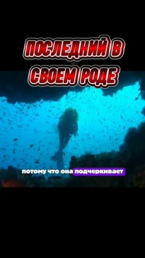 Последний в своём роде