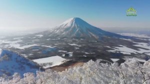 Стихи над миром. Стихотворения Зинаиды Миркиной
