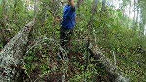 Поход за грибами 22-23.07.2023г.