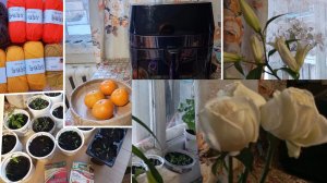 Подарки на 8 марта от родных. Теперь я довяжу плед и на кухне у меня будет новая помощница