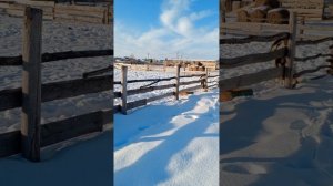 Вернулся спустя год|Что изменилось?