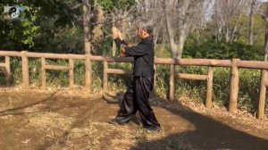 094 Лабиринты кунфу