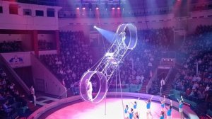 Выступление атлетов в цирке