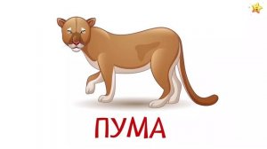 СБОРНИК  про животных ｜ Животные для детей ｜Учим животных