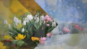 "Песня о МАТЕРИ" (А.Зацепин,Л.Дербенёв) - поёт Юлия ШАНЬГИНА