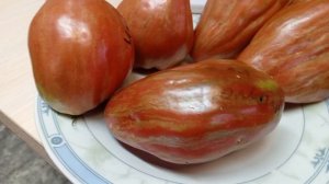 Томат Зеленый тюльпан