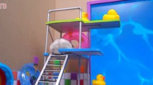 хомячок в лабиринте.