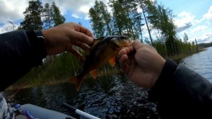 Рыбалка 05.06.23