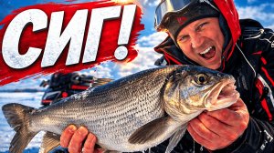 Вот это рыбалка! Рыба мечты из лунки! Рыбаки не ожидали. Зимняя рыбалка на мотобуксировщике Ikudzo