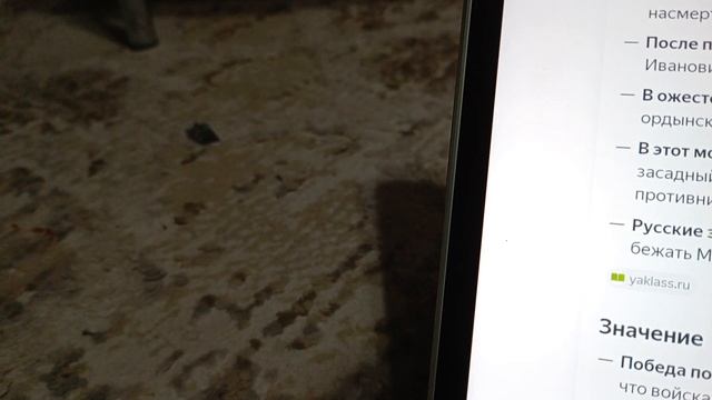 Урок окружающего мира смотреть онлайн