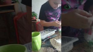 я у Вероники в гостях. Мы рисуем на воде! 
Котофей в реальном мире!