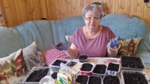 ПОСЕЯЛА РАССАДУ, ПОСТРИГЛА БОРОДУ ЛЁШИКУ.