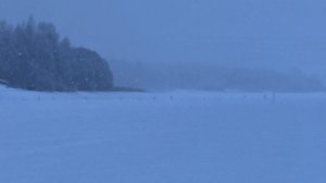 Я купил информацию за деньги,ЧТО МНЕ РАССКАЗАЛИ?! Оказалось что ….