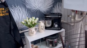 Купил розы !  Расскажу вам что и как у меня !