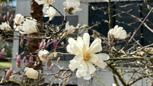 Отметили 8 марта в санатории г.Сочи