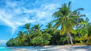 музыка онлайн  драмфанк  Чилл аут драмфанк CHILL-OUT Чилаут Drumfunk