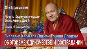 Кармапа об эгоизме, одиночестве и сострадании