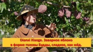 Dianxi Xiaoge. Китай. Заварное яблоко — в форме головы Будды, сладкое, как мёд.  .