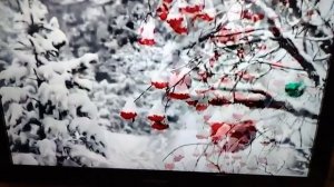 Сергей Милейко - Разговор по душам