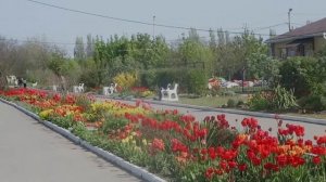 В Таганроге весна