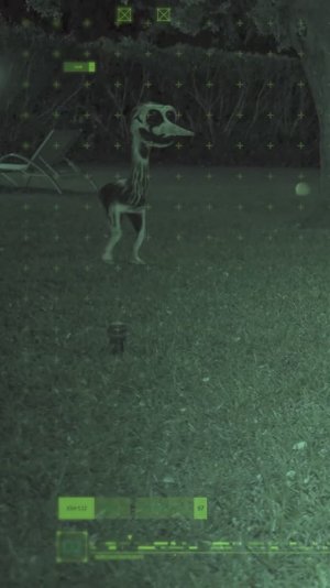 Зоономалия