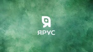 Как цифровые системы помогают в управлении лесным хозяйством