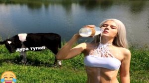 #смешныевидео -1124