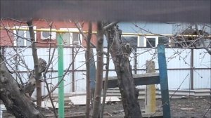 ч.8 Восточный