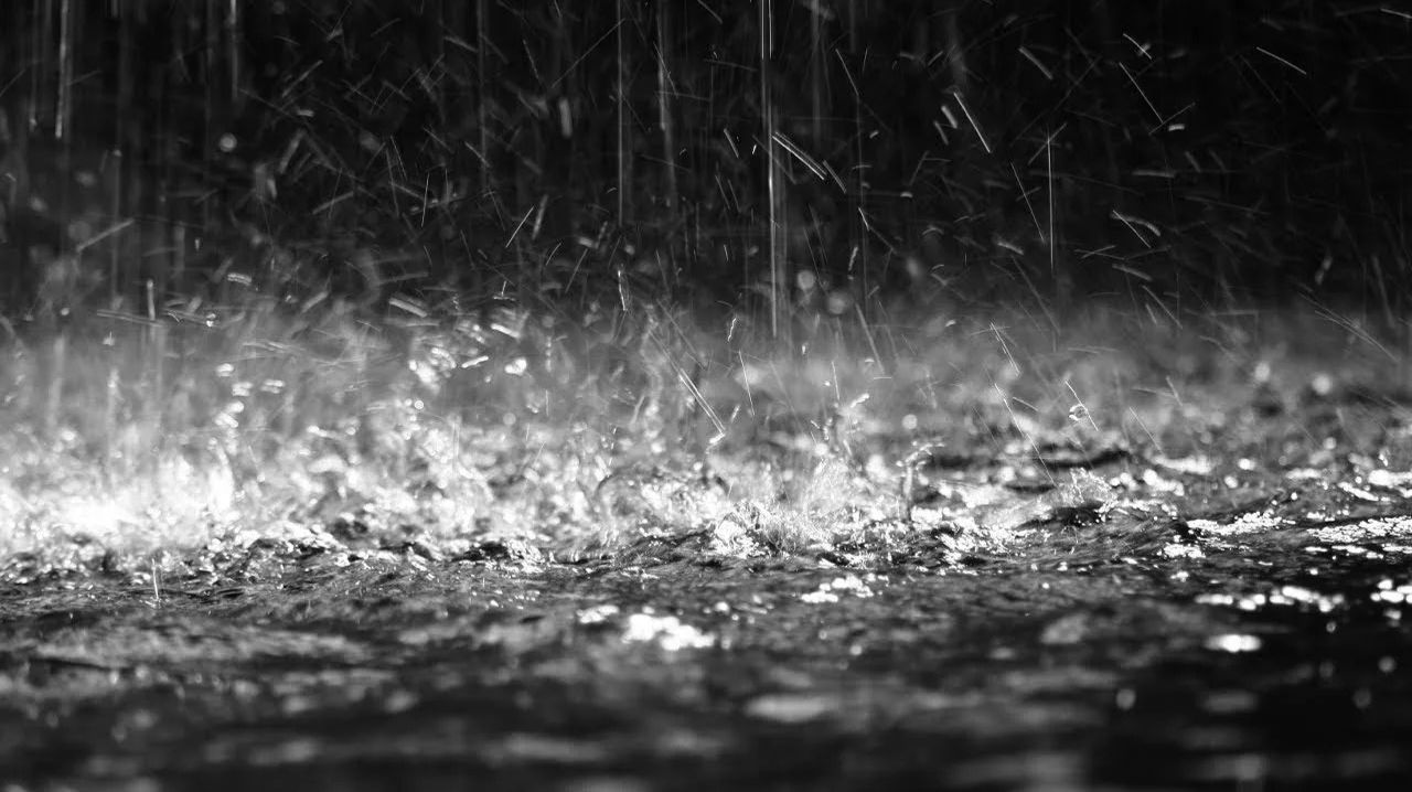 Палпалычи выходной