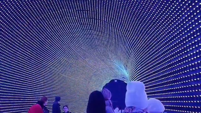 Погуляем вместе. Парк Галицкого. Краснодар.