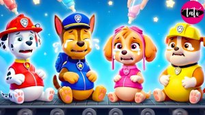 Щенячий патруль и Маршалл. Залипательное видео. Мультфильм для детей и малышей. Анимация 348