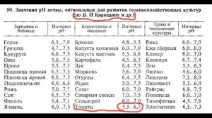 Как вырастить рассаду помидоров без проблем