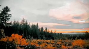 Природа Якутии.