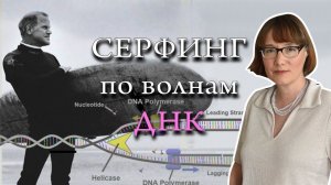 Кэри Муллис гений, злодейство и ПЦР