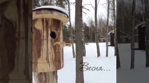 Весна .... Нынешней весной зима особенно удалась, но и ей нужно знать меру