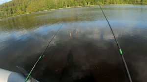 Рыбалка на удочку 24.05.23