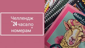 ЧЕЛЛЕНДЖ "24 ЧАСА ПО НОМЕРАМ"