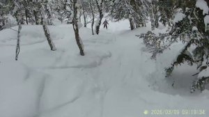 Васёна Геш трейлер