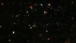 Сон о млечном молоке и котенке