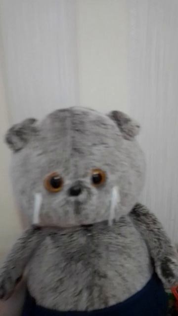 Знакомство с Басиком